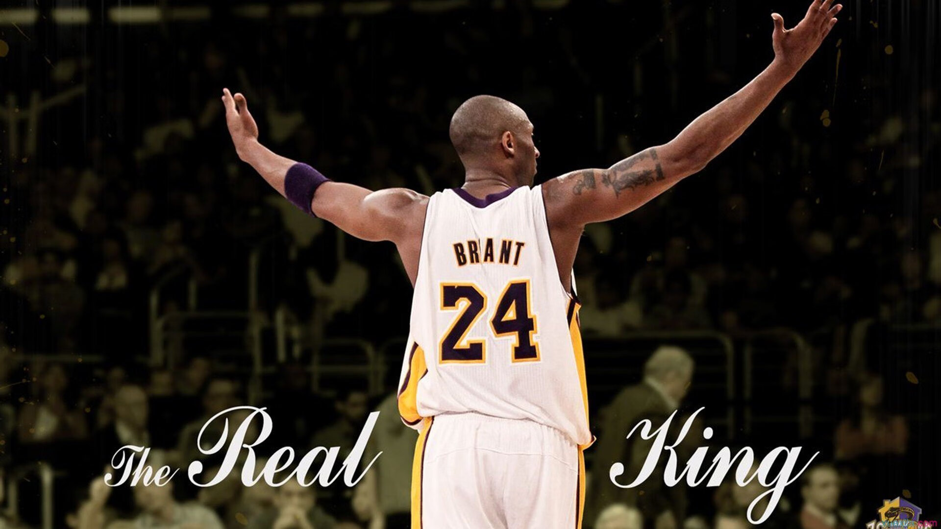 新媒体助力中国足球，粉丝基础持续扩大，新媒体对体育赞助未来的影响