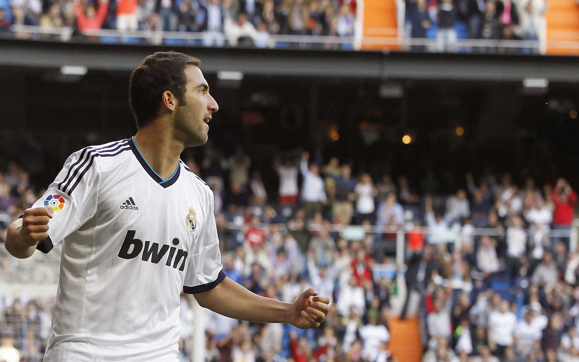 荷兰马术协会举办国际马术科技大会，推动行业技术交流与合作。